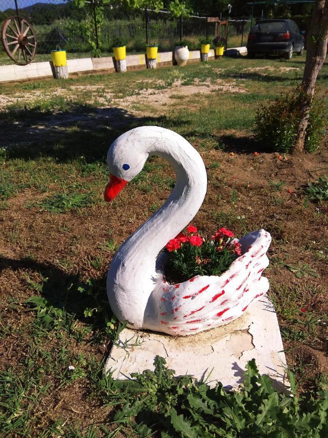 شقة Farma Giannis سارتي المظهر الخارجي الصورة